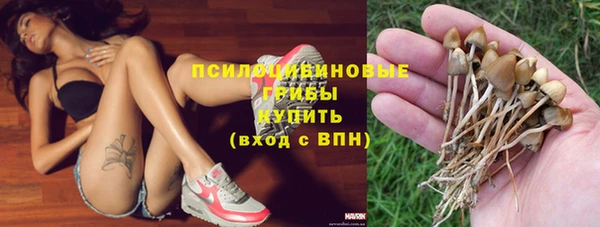 гашик Алзамай