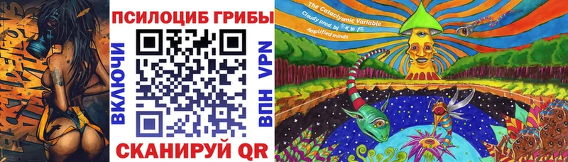 Галлюциногенные грибы GOLDEN TEACHER  купить наркоту  Тотьма 